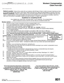 Free Oregon 801 PDF Template